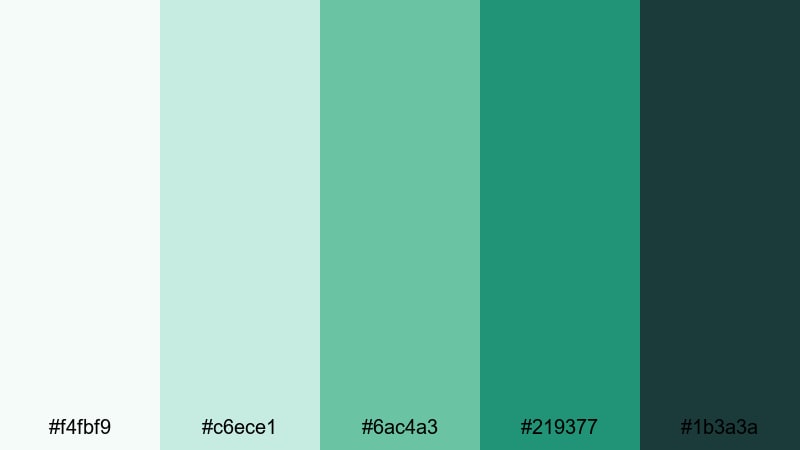 clean app interface jade jade color palette with hex codes