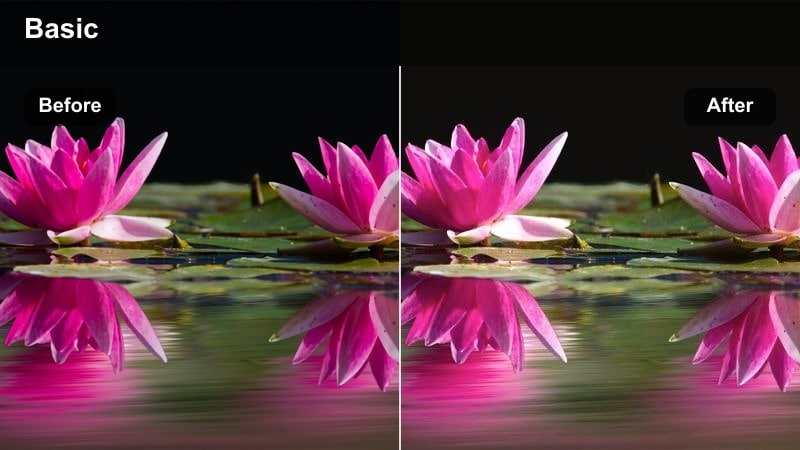 Diverse models in studio with clean neutral glowing skin tones.