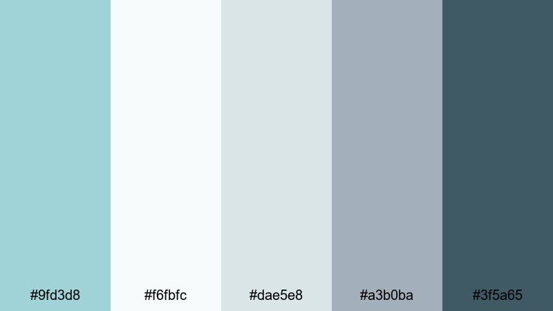 clean clinic aqua spa color palette with hex codes