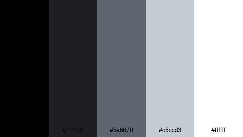 clean interface chrome black silver color palette with hex codes