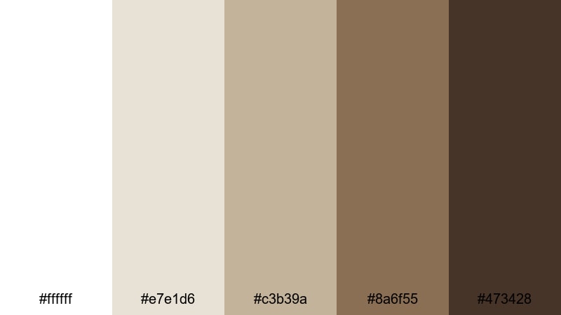 clean mug workspace coffee shop color palette with hex codes