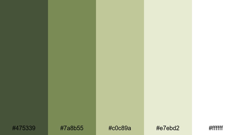clean olive branding dark olive green color palette with hex codes