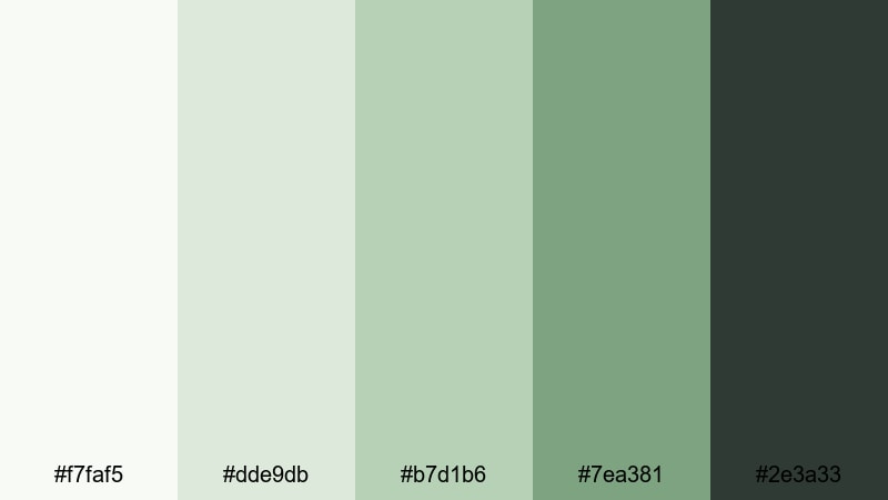 clean sage branding light green color palette with hex codes