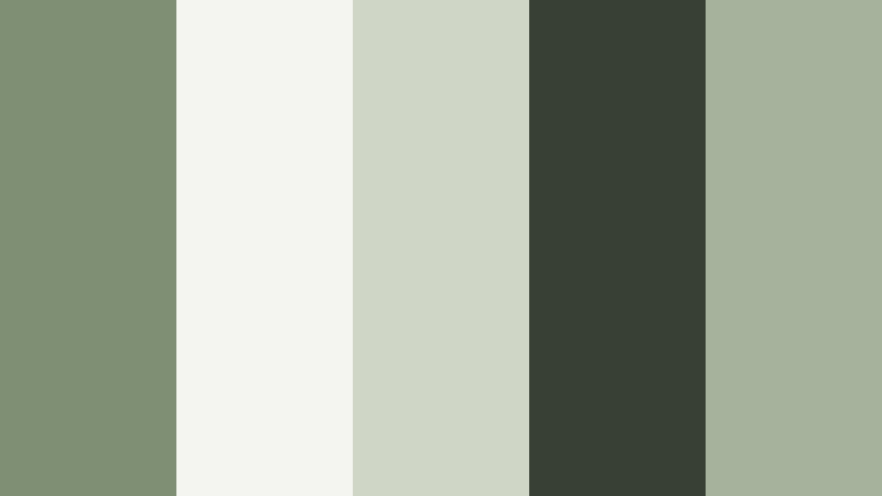 clean studio moss soft moss green color palette with hex codes
