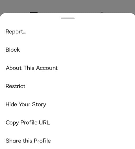 Instagram Block options