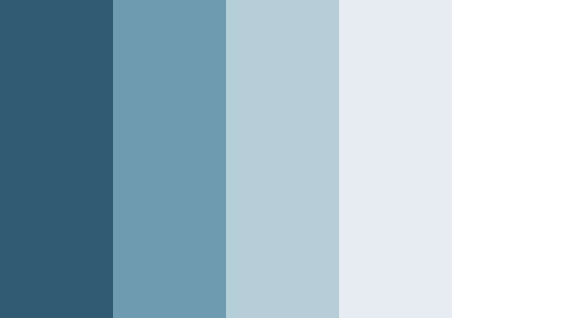 cloudline wealth blue and silver financial advisor color color palette with hex codes