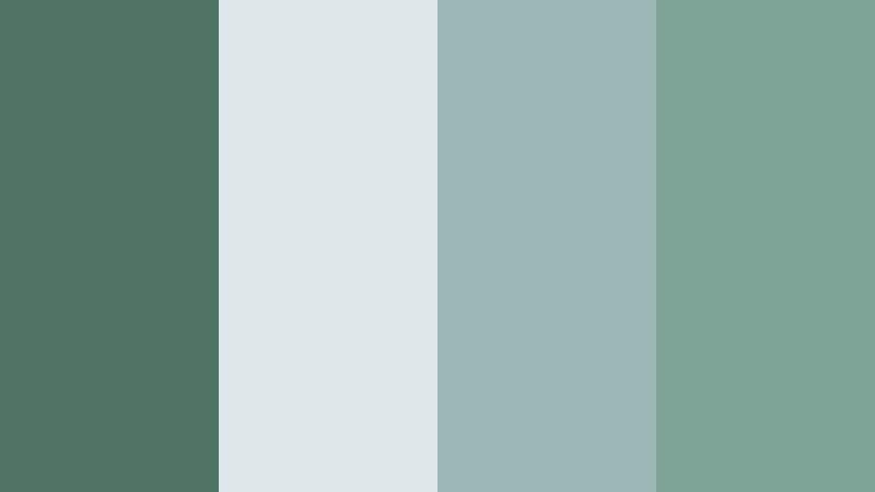 coastal fog drift cool eucalyptus color palette with hex codes