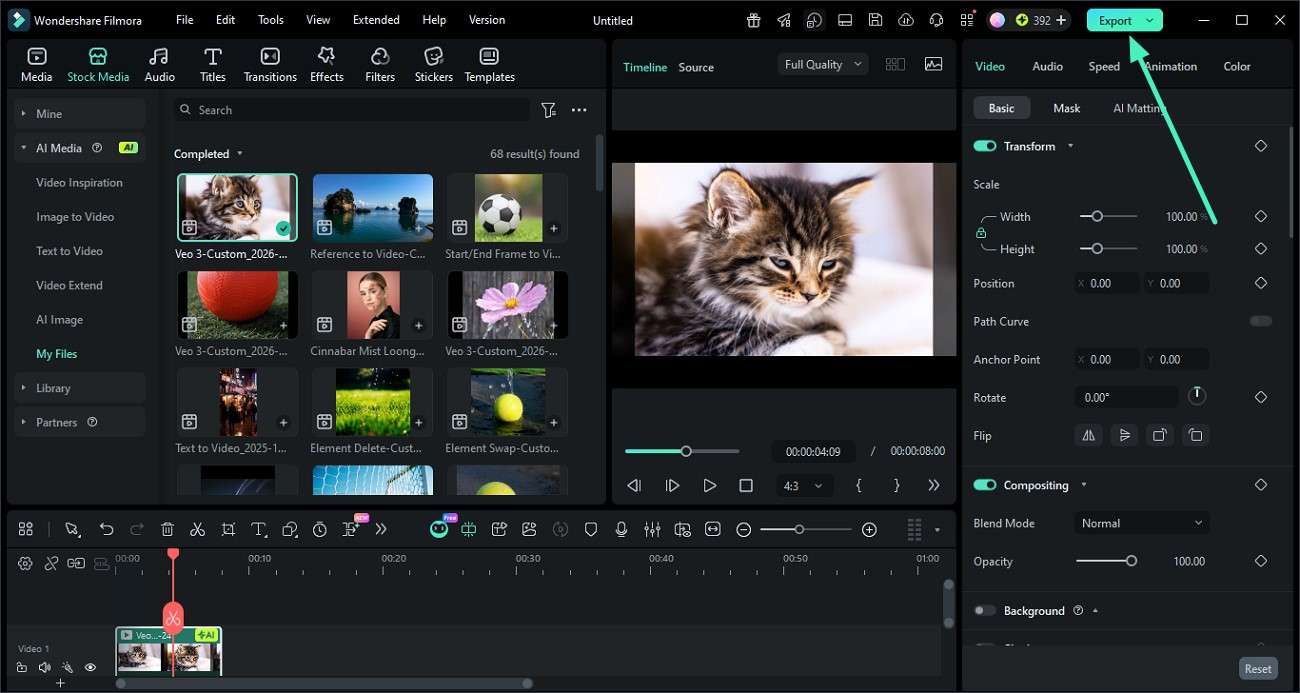 preview video and save
