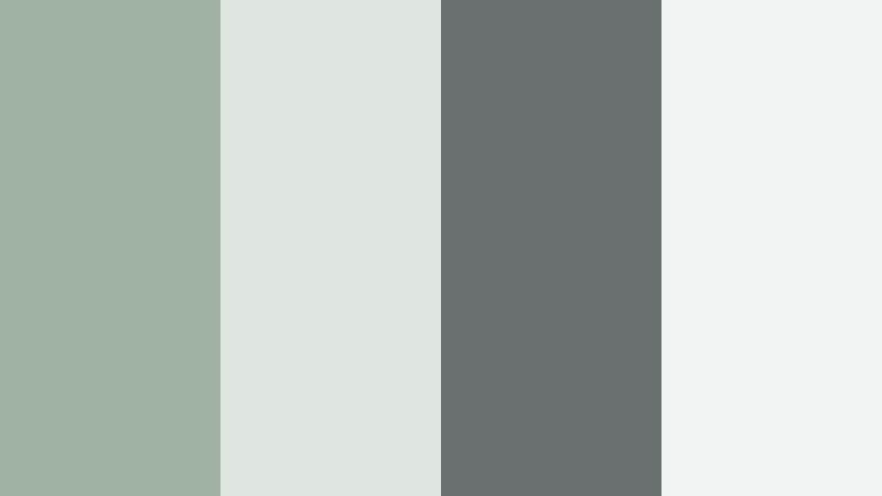 concrete and canopy eucalyptus mist color palette with hex codes