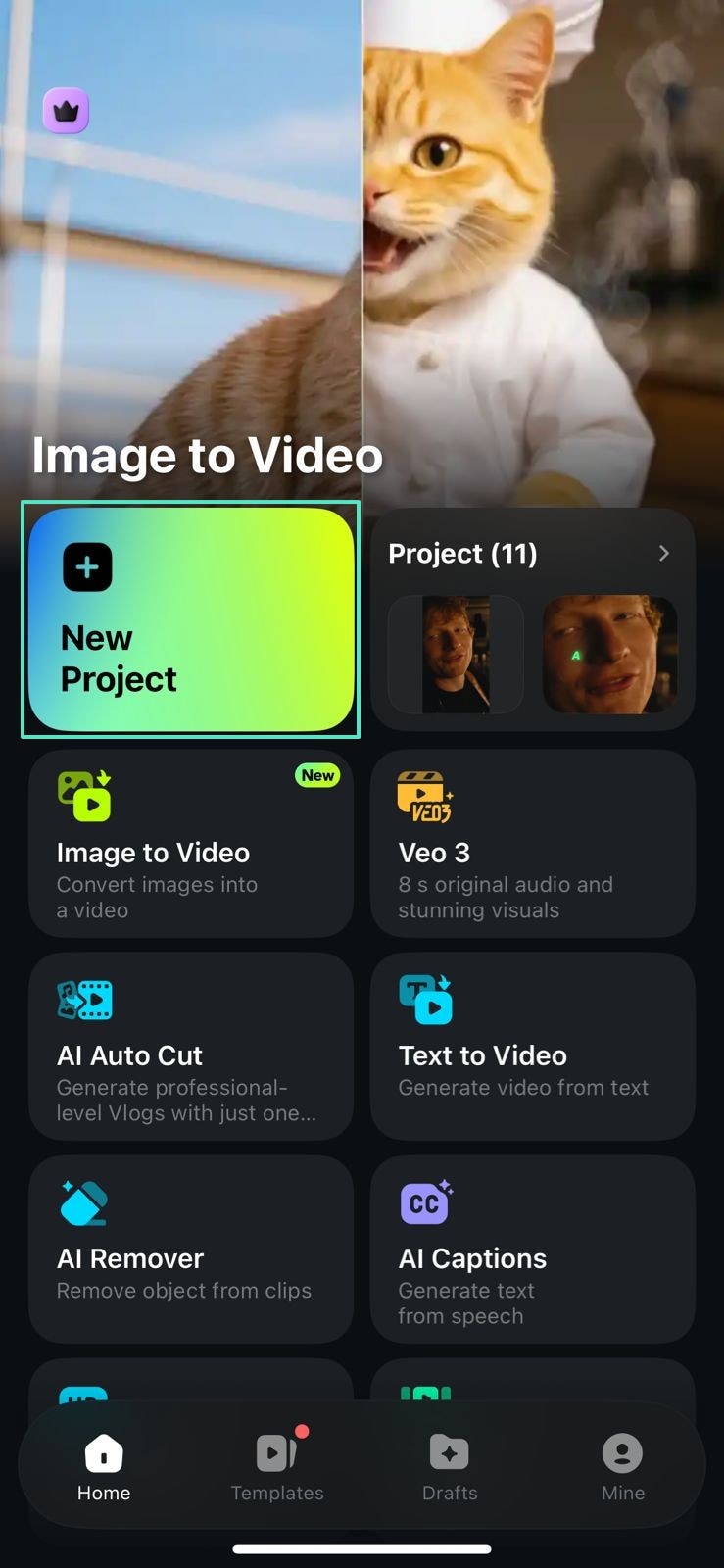 manual meme filmora app