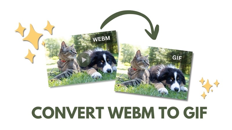 convert webm to gif