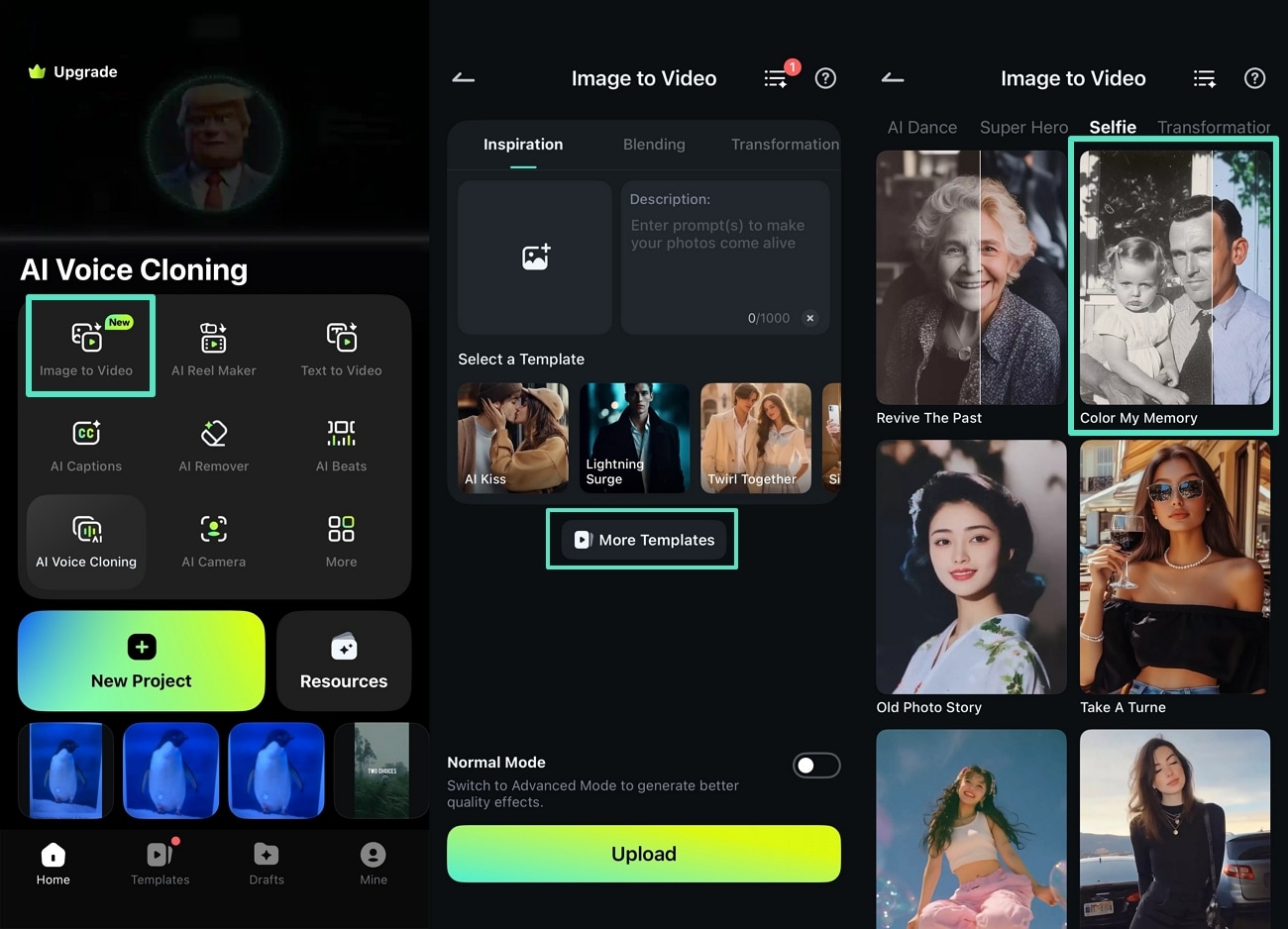 select image to video template