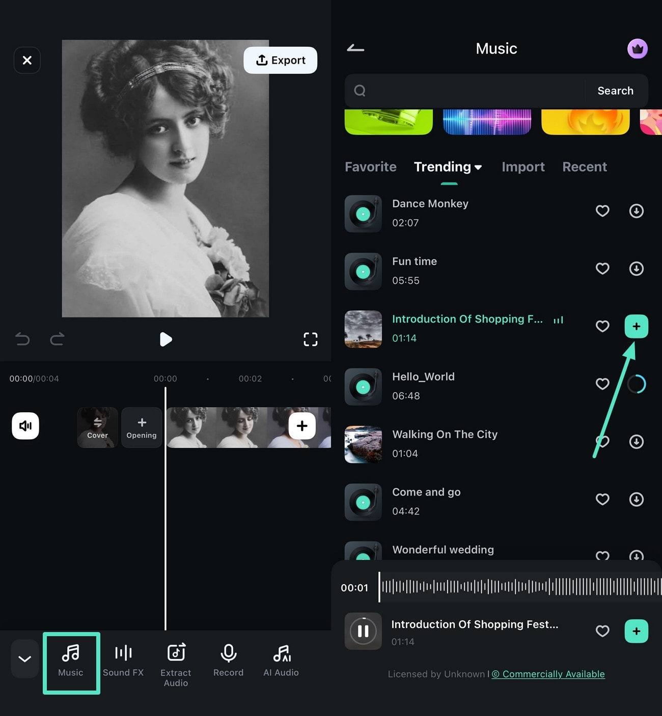 add audio using filmora library