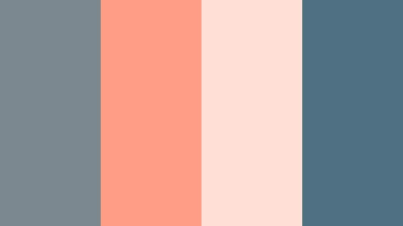 coral jetty splash cool ocean gray color palette with hex codes