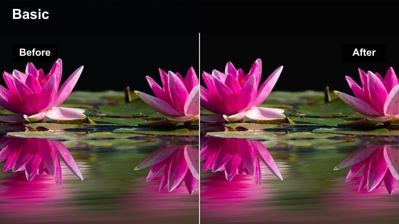 Person reading a book in bed under a warm bedside lamp at night.