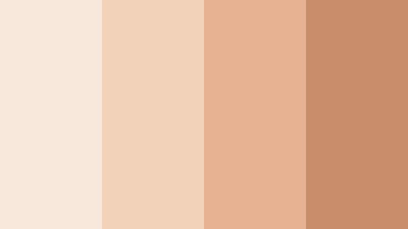 creamy latte peach beige peach beige color palette with hex codes