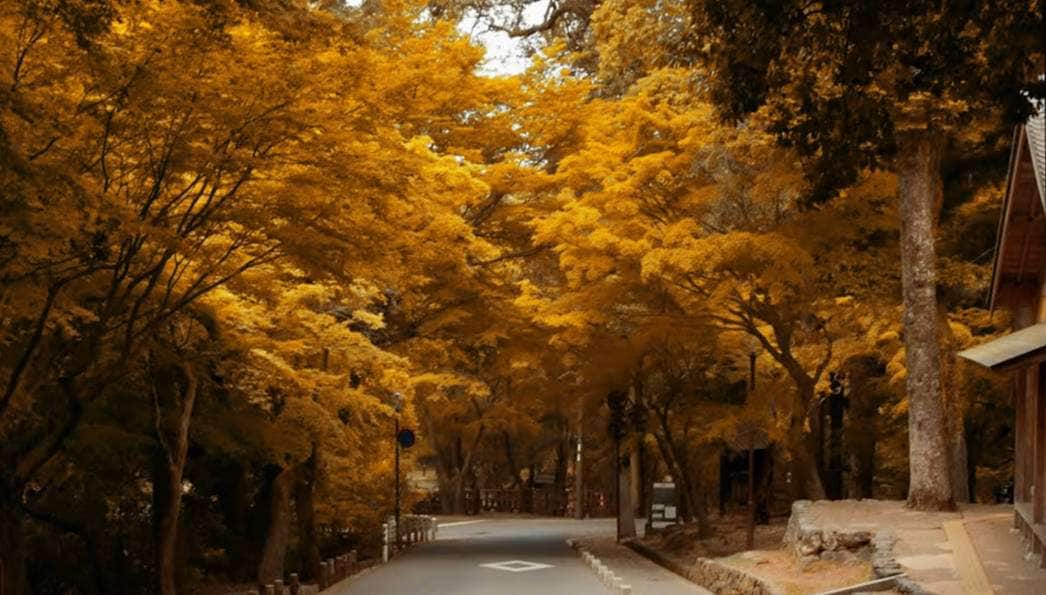 effets rétro VHS et grain de film