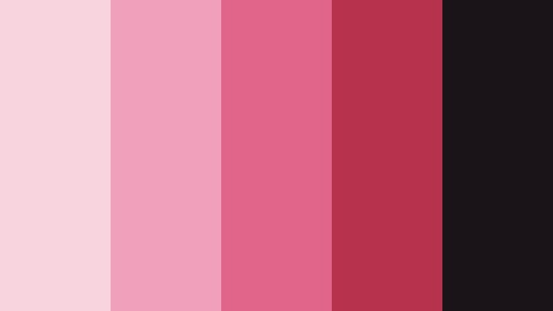 crimson comet fade stardust pink color palette with hex codes
