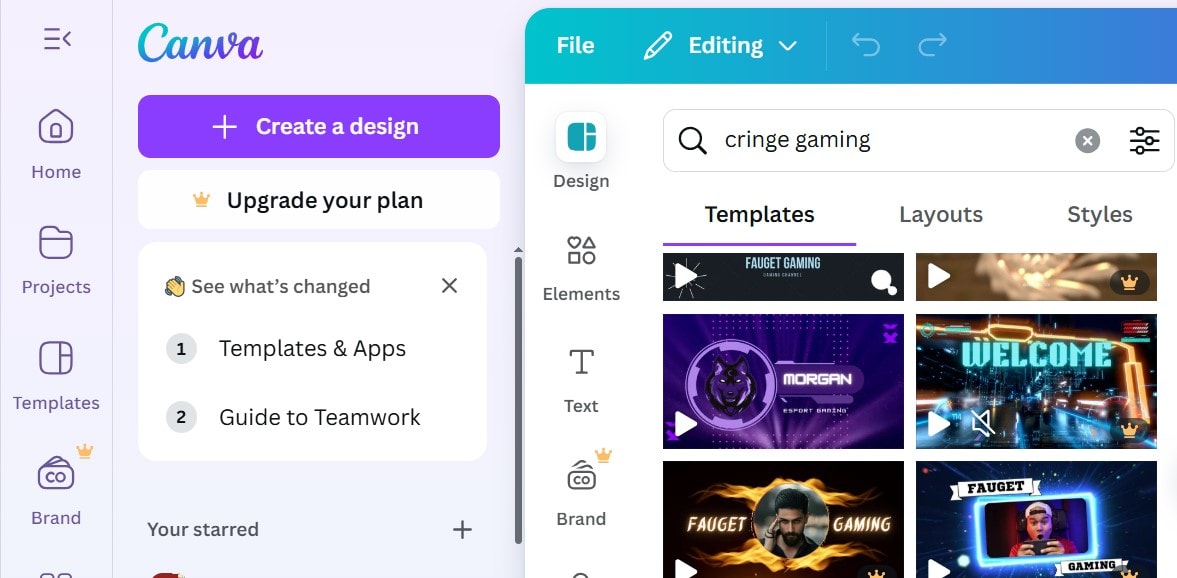 canva interface