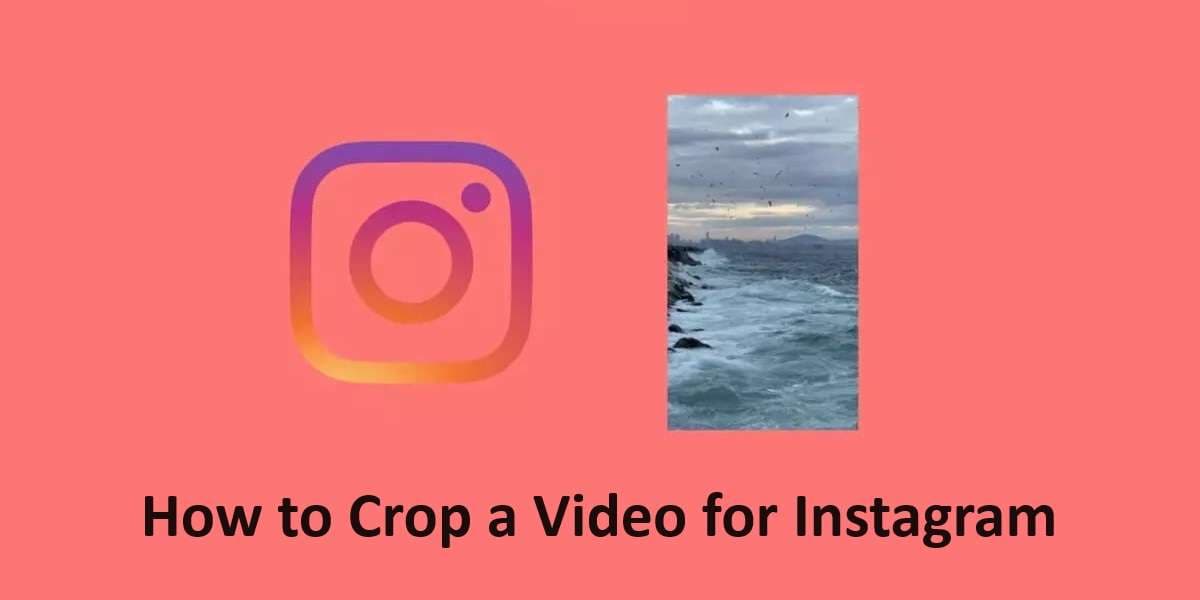 Les 5 meilleurs outils pour recadrer sans effort les vidéos pour Instagram.