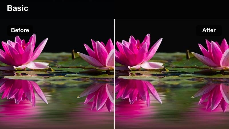 People crossing a city crosswalk at dusk with warm highlights and cool shadows.
