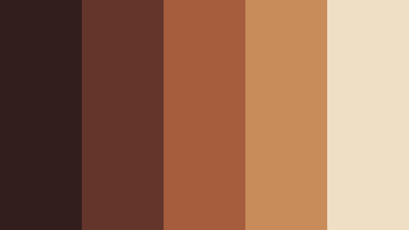 dark chocolate copper food video color color palette with hex codes