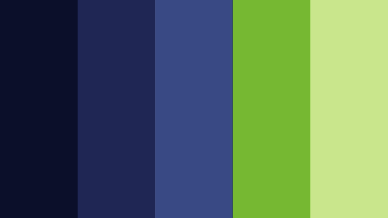 data fortress indigo and lime cybersecurity firm color color palette with hex codes