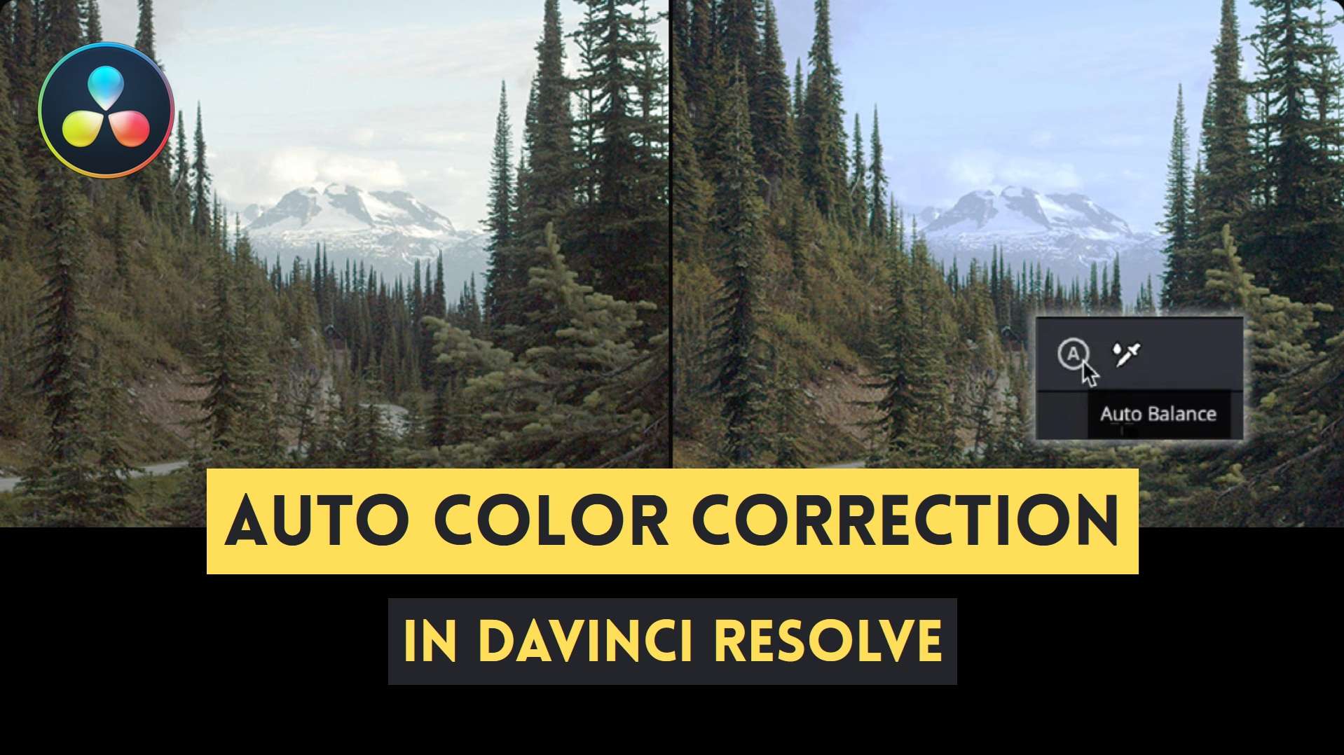 davinci resolve auto color correction