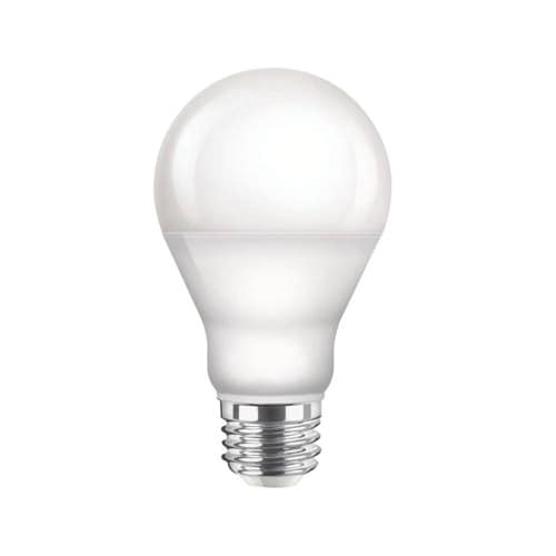 Daytime Light Bulbs