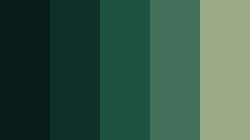 deep evergreen forest color palette color palette with hex codes
