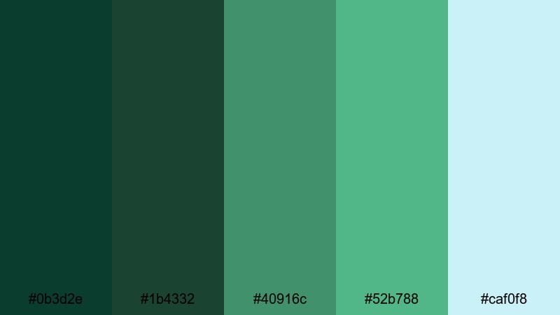 deep lake reflection hunter green color palette with hex codes