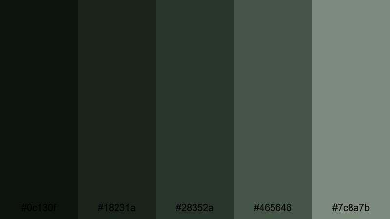 deep thicket shadows woodland color palette with hex codes