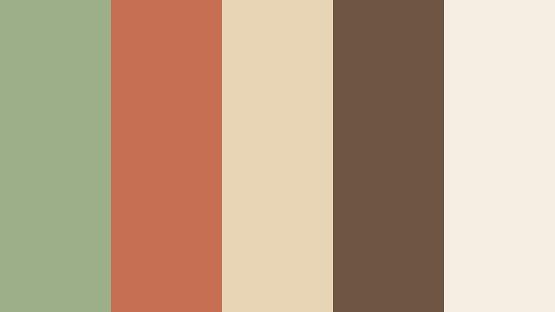 desert courtyard sage green and terracotta home decor store color color palette with hex codes