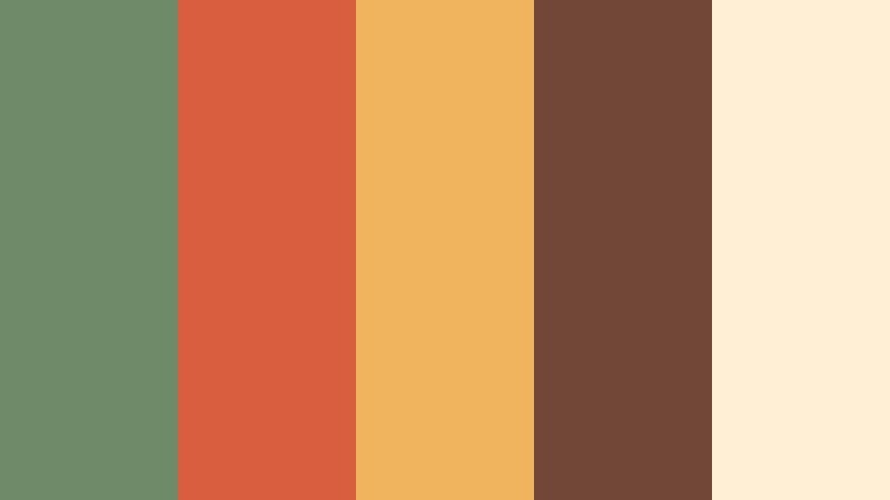 desert fiesta sage green and terracotta home decor store color color palette with hex codes