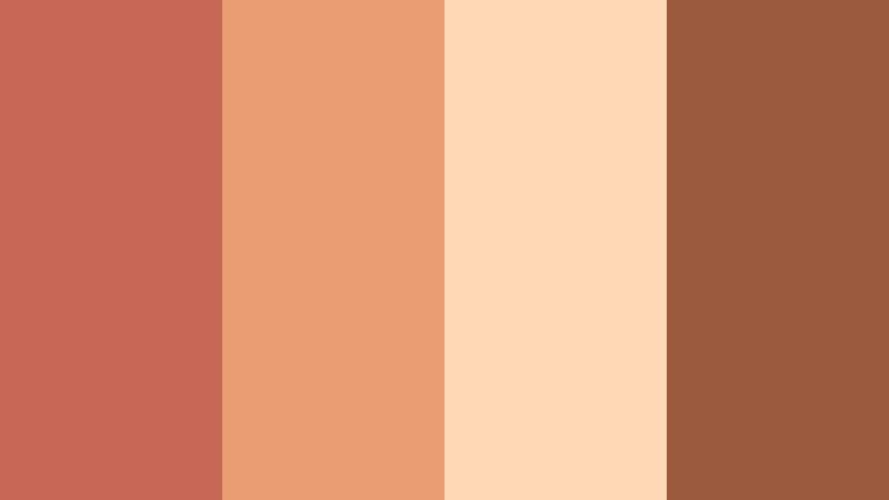 desert lens dream coral clay color palette with hex codes