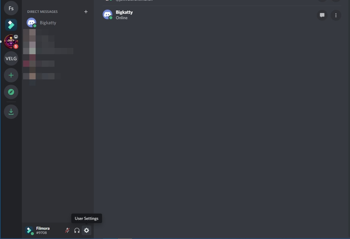  open discord app and click User Settings icon