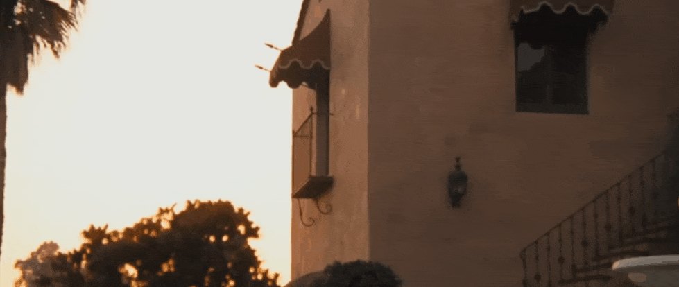 dissolve transition in the godfather