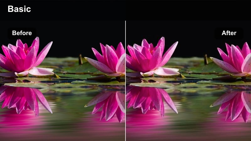 Neutral-toned documentary-style shot on a city sidewalk