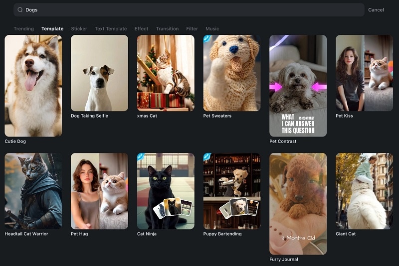 try dog video templates in filmora