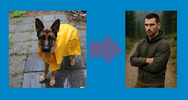 dog to human sample