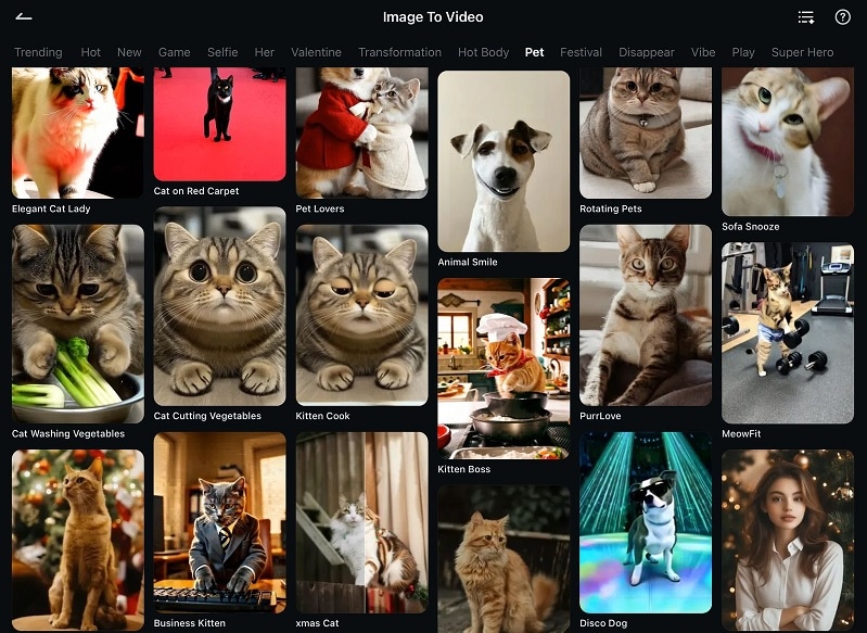 filmora image to video dog template