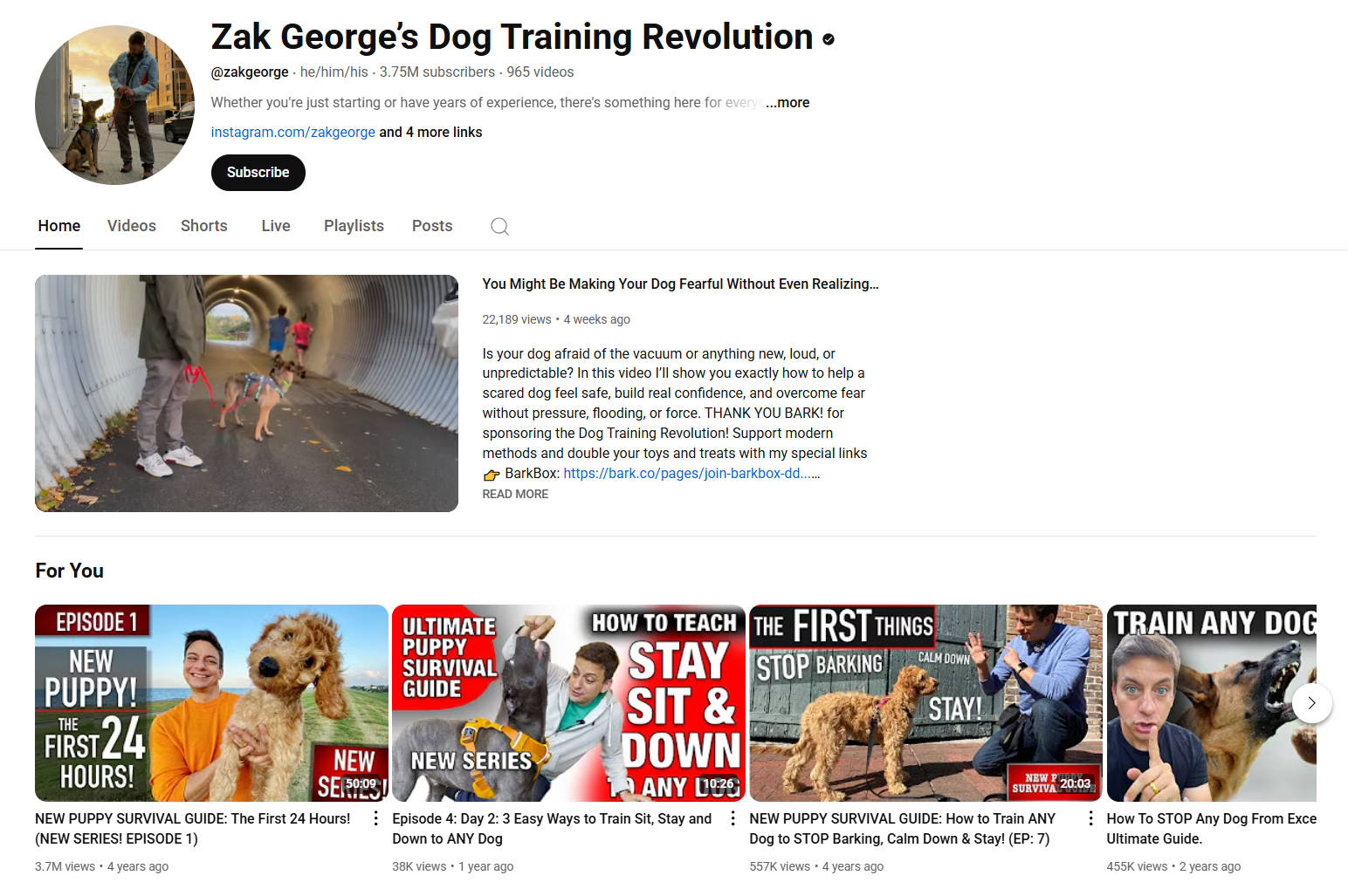 Zak George's Dog Training Revolution