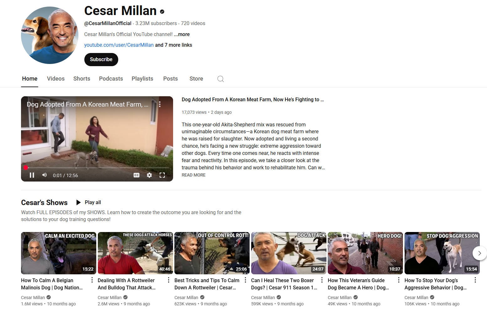 Cesar Millan's Puppy Basics