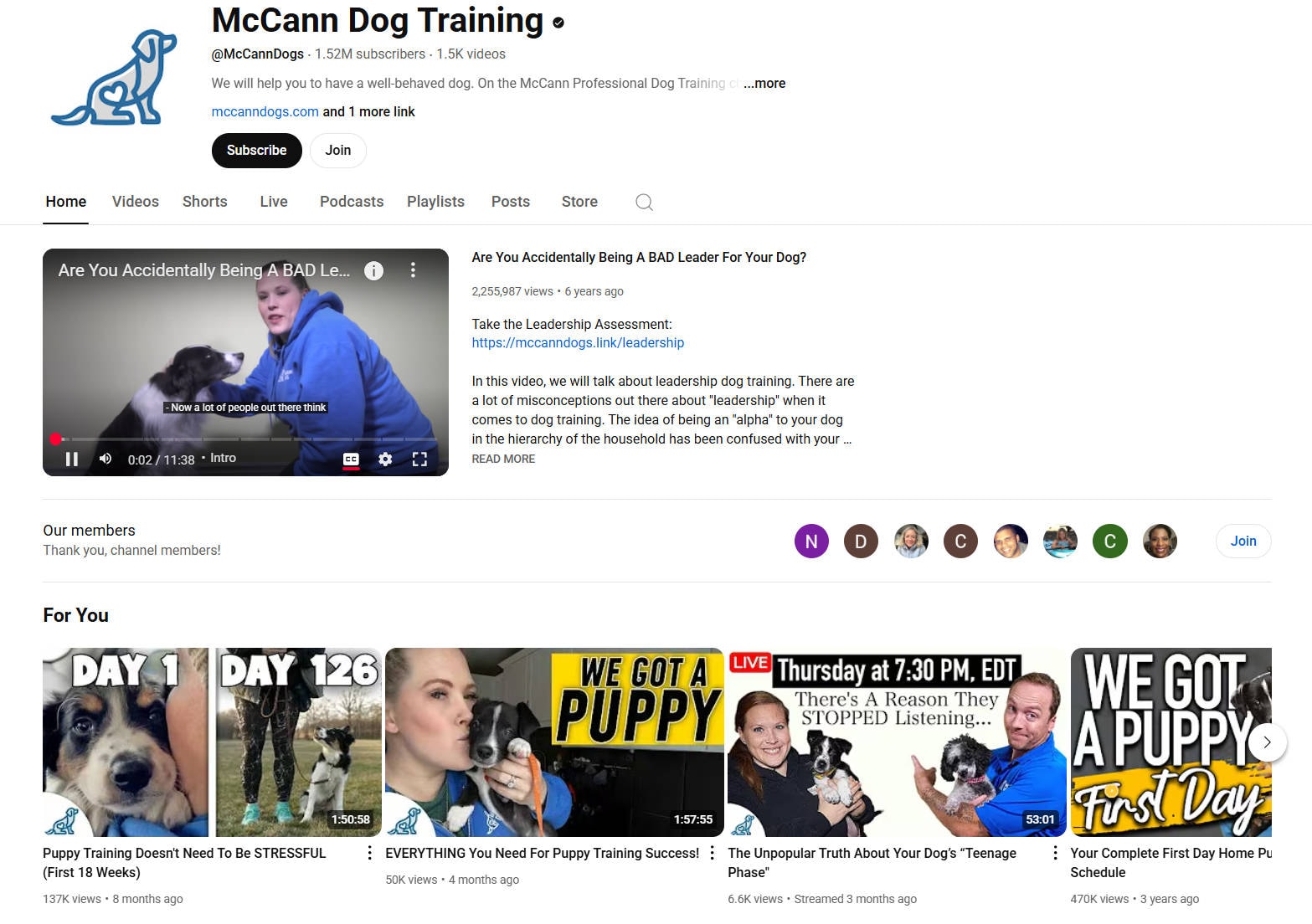 McCann Dog Training