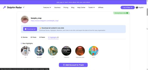 dolphin instagram page