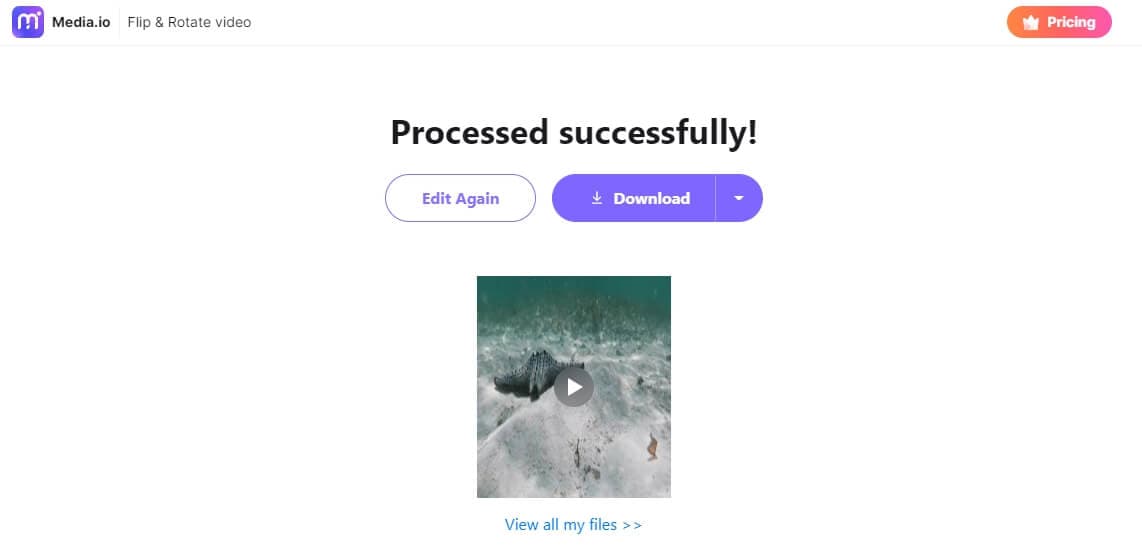 3 Easy Ways to Mirror Video Online