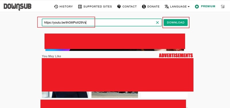 paste url into downsub search box