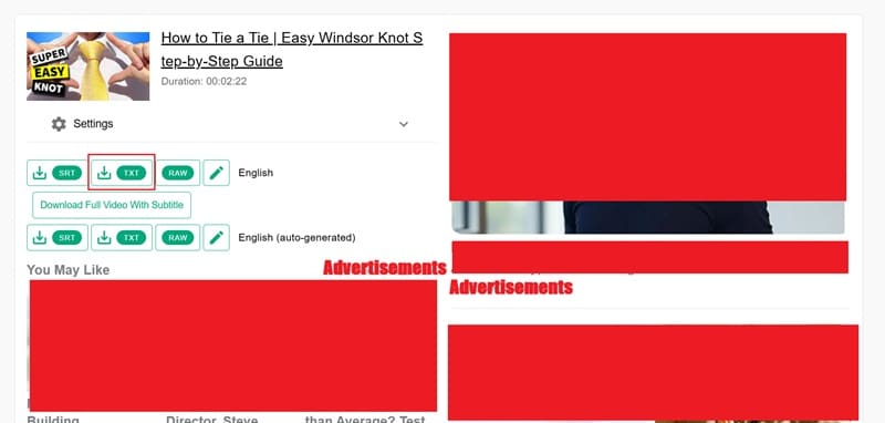 download the subtitle in txt format