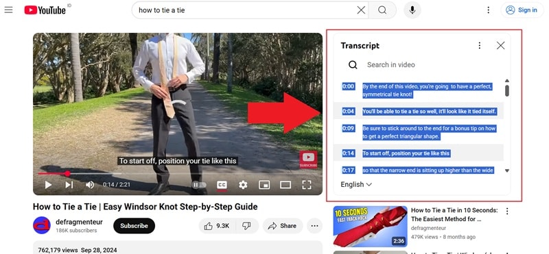 copy the subtitles in transcript