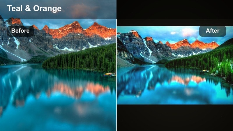 Cinematic forest path with teal and amber tones